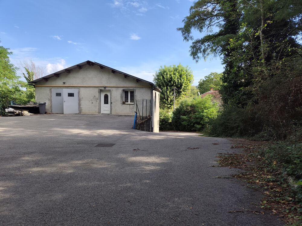   LOCAL PROFESSIONNEL   194 m2   TERRAIN 3 199 m2   LEYRIEU 