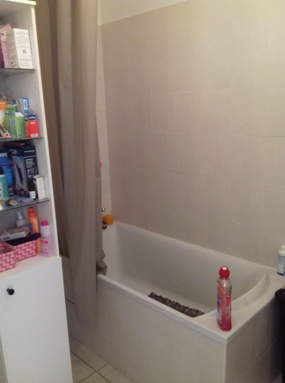Location Appartement appartement type 3 au 2 ème étage  CHAVANOZ Chavanoz