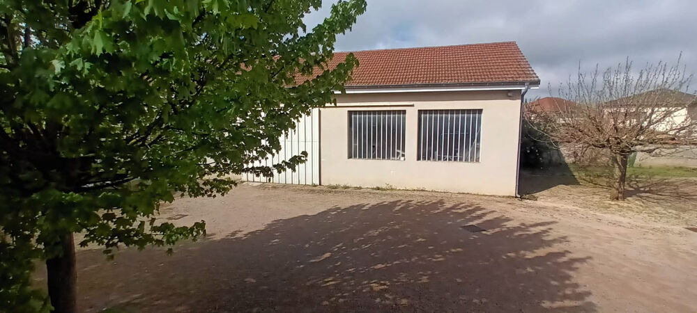 2 MN CENTRE CREMIEU VILLA AVEC DEPENDANCE SUR 2138 M2 DE TERRAIN