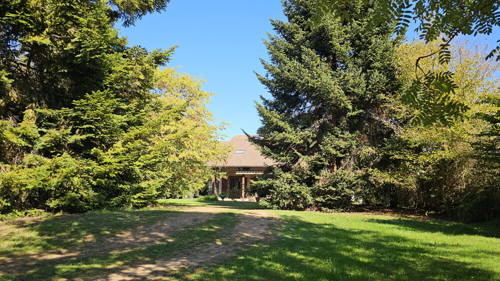 Maison et deux appartement