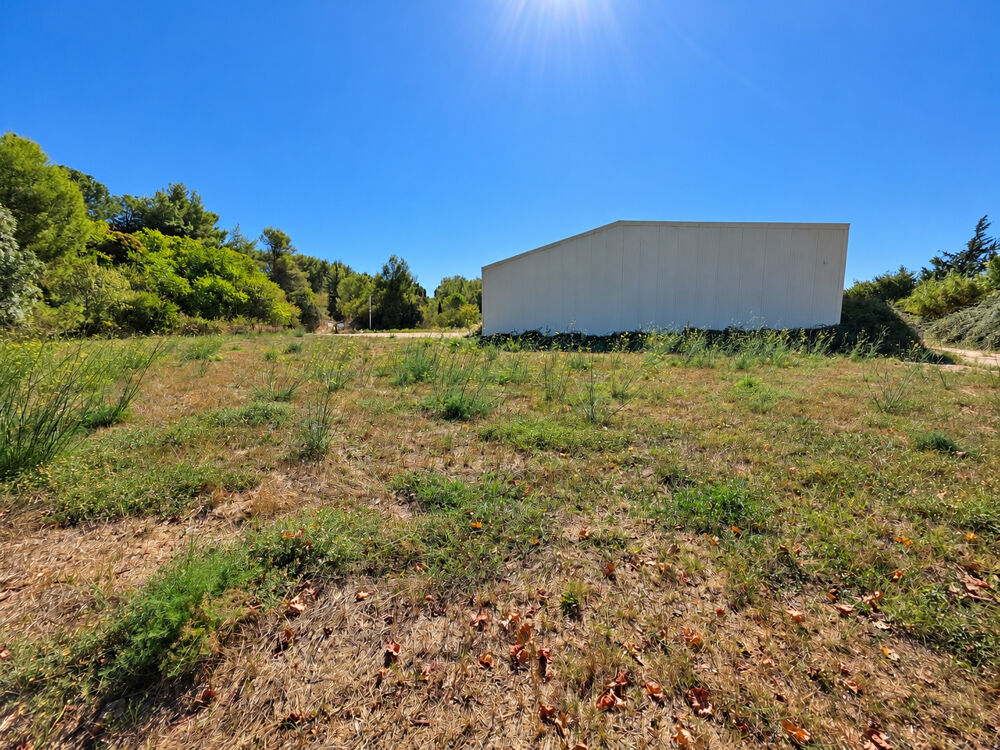 Vente Propriété/Château Dpt Hérault (34), Secteur Pic Saint-Loup, Hangar de 660m2, parcelle de 5000m2 St vincent de barbeyrargues