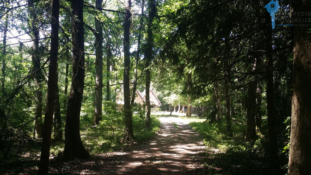 A vendre Dpt Eure (27) propriété 263 m2 sur terrain boisé de 4,5 ha