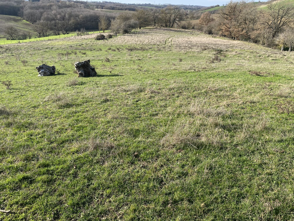 � vendre  Propri�t�/ch�teau Caraman (31460)