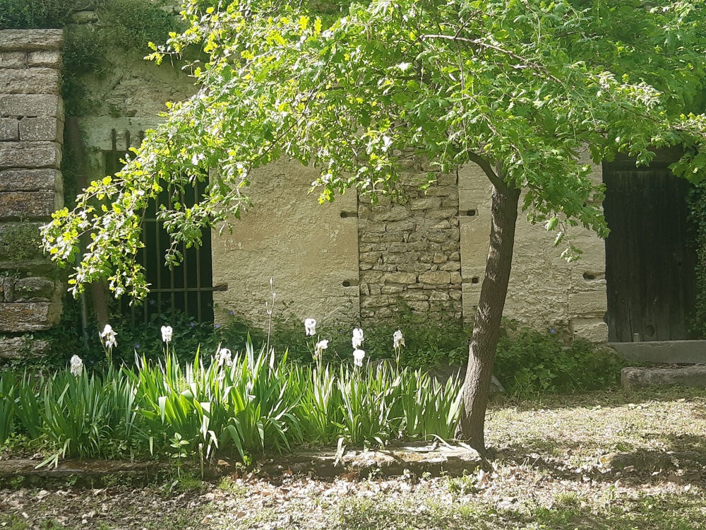  vendre  Maison Uzs (30700)