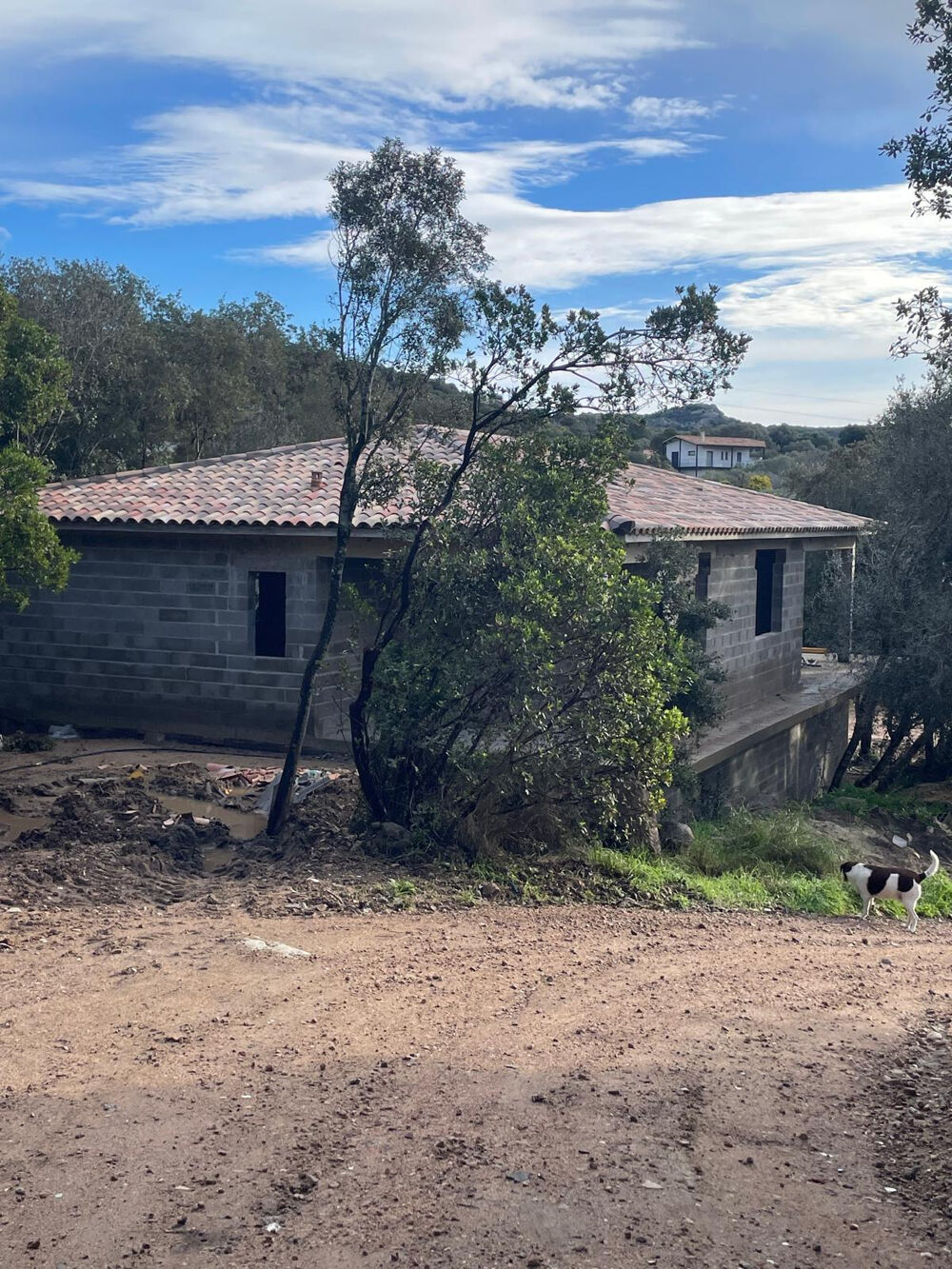 Vente Terrain Exceptionnel à Porto Vecchiaccio, Terrain 3488 m2 avec permis accordés et purgés de tout recours Lecci
