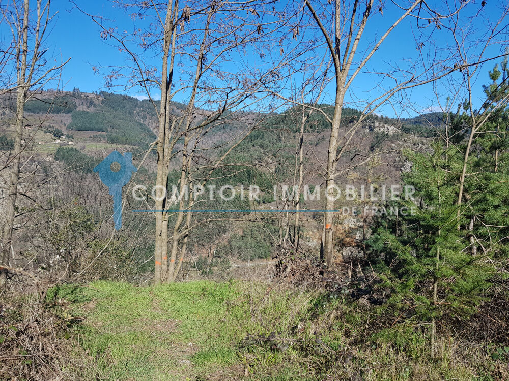 Vente Terrain Ardche (07) - A Vendre Jaunac (07160), Terrain constructible 1575m2, viabilis (Eau, Electricit, Tlphone) Le cheylard