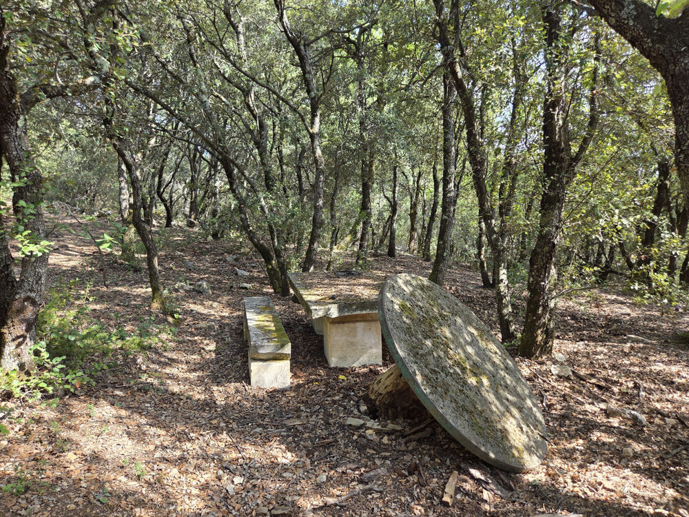 Vente Terrain Terrain forestier avec ruine St saturnin les apt