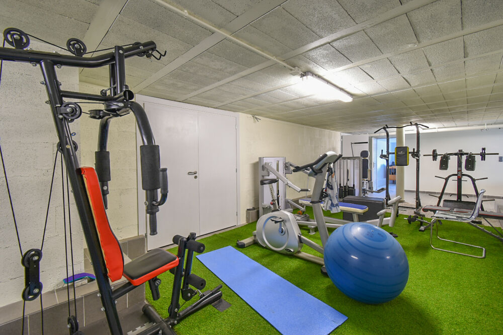 � vendre  Propri�t�/ch�teau Aiguebelette-le-Lac (73610)