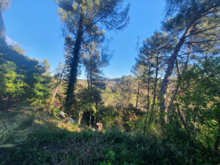  Maison � vendre 6 pi�ces 230 m�