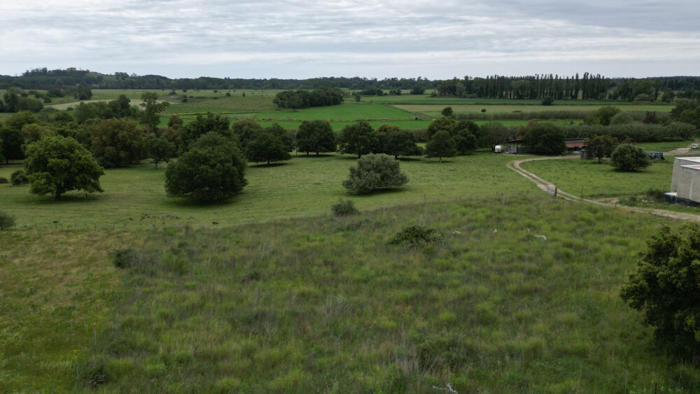 Vente Terrain Aléria - Terrain de 3 000 m2 + permis d'une maison accordé et purgé Aleria
