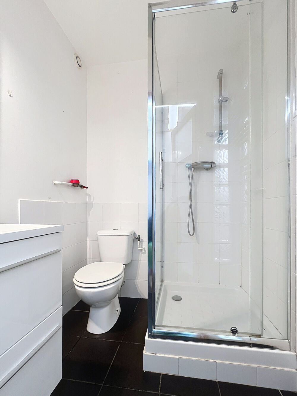 Location Appartement Isère (38) - A LOUER - Meublé - Studio 21m2 à Grenoble. Europole - Gare - Ecole de Management Grenoble