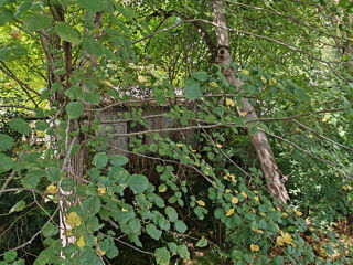  Parking / Garage � vendre 70 m�