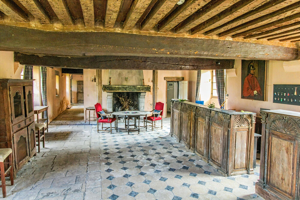 A vendre Dpt Eure (27) proche Pacy sur Eure Château du 17ème siècle au coeur d'un parc de 21,5 ha environ