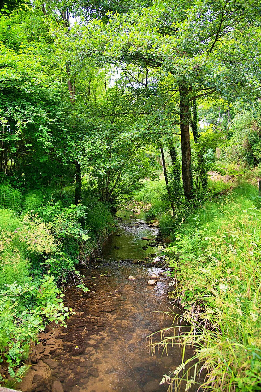  vendre  Maison Goudargues (30630)