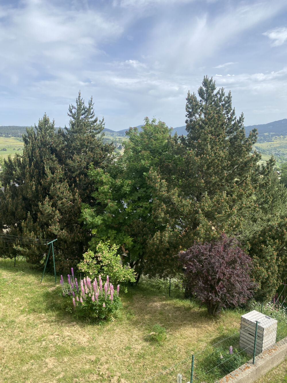 CHALET INDIVIDUEL à SAINT PIERRE DELS FORCAT ( 66210)