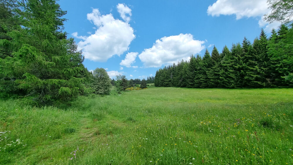 à vendre  Propriété/château Le Lac-d'Issarlès (07470)