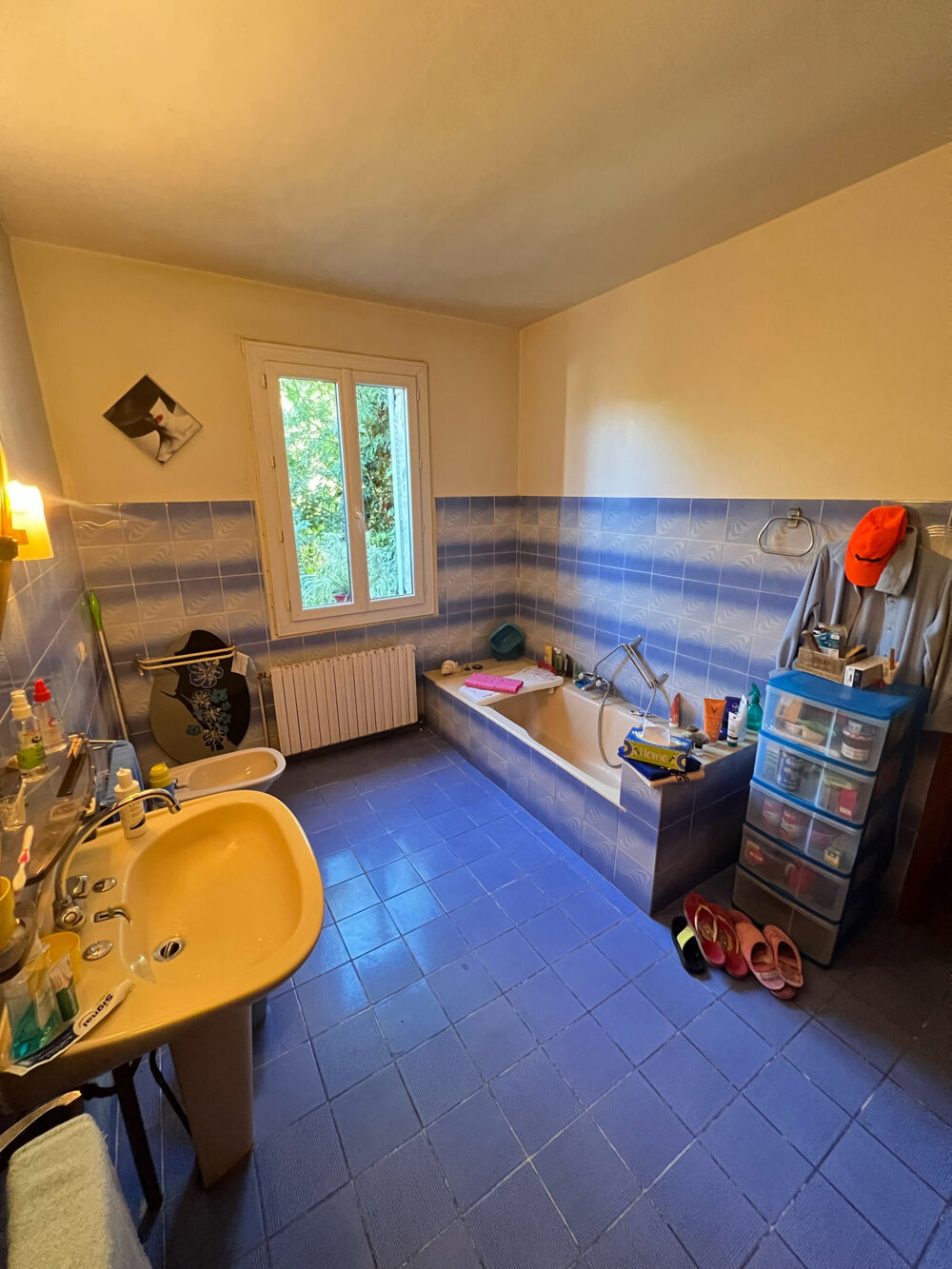 à vendre  Maison Viggianello (20110)