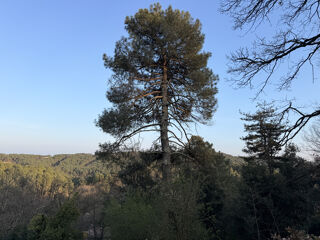  Terrain à vendre 3082 m²