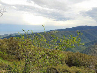  Terrain � vendre 215 m�