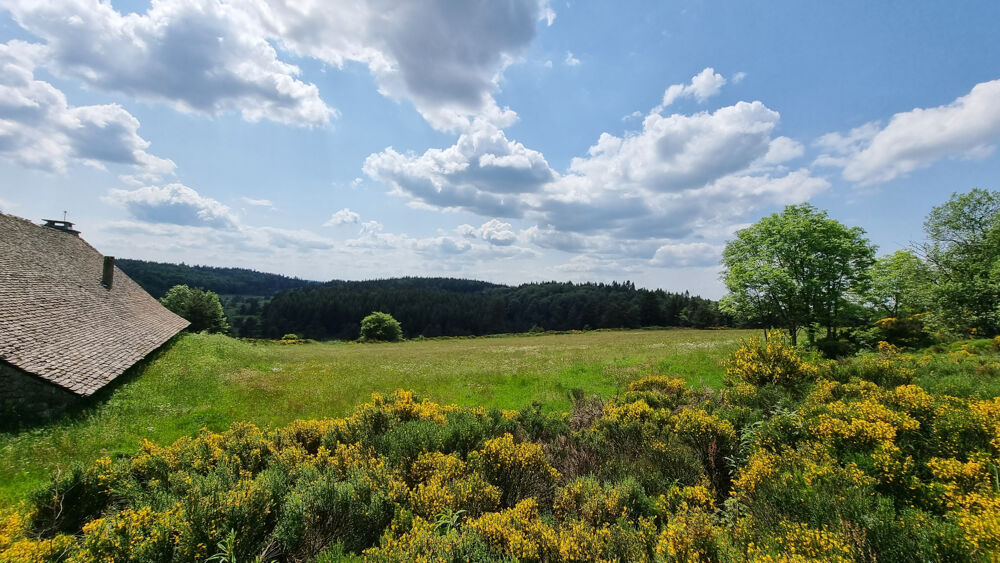 à vendre  Propriété/château Le Lac-d'Issarlès (07470)