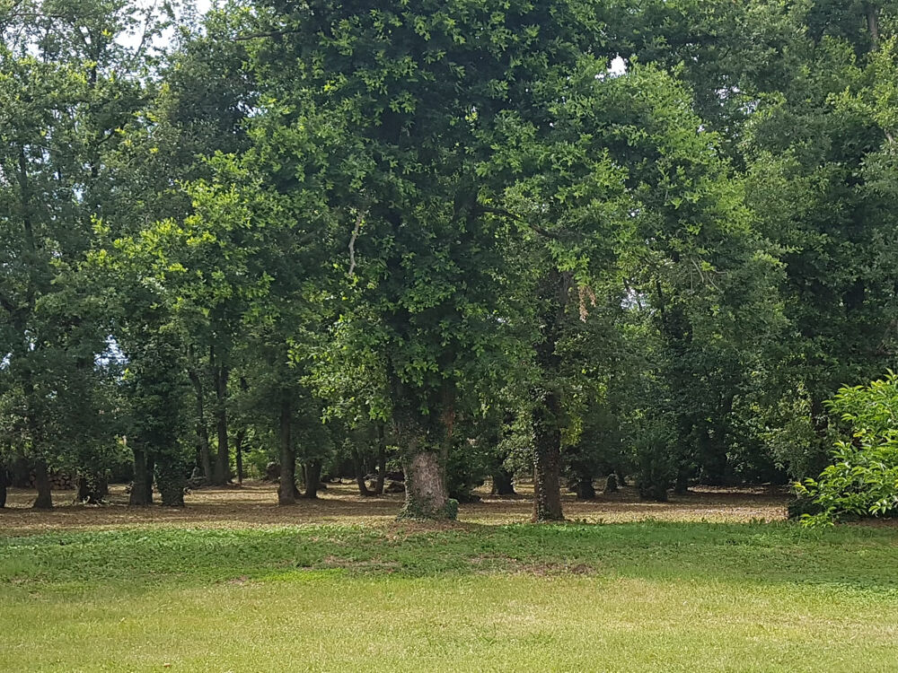  vendre  Maison Montlier (26120)