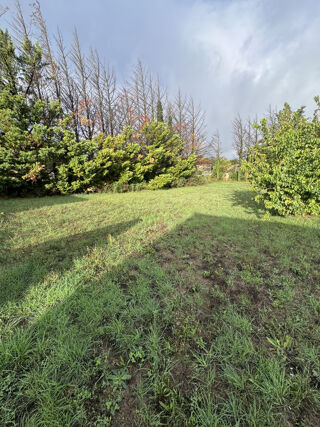  Terrain à vendre 1004 m²