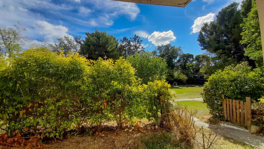 Vente Appartement Dépt Hérault (34), à vendre MONTPELLIER Appartement Studio de 21m2 - Terrasse et Jardin -  Cellier - Montpellier