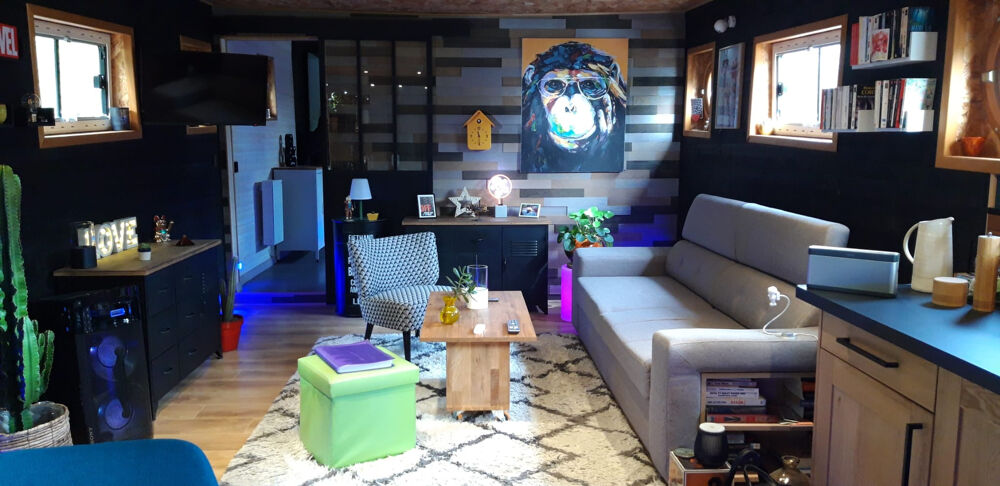 DPT ARLES (13) A VENDRE PENICHE