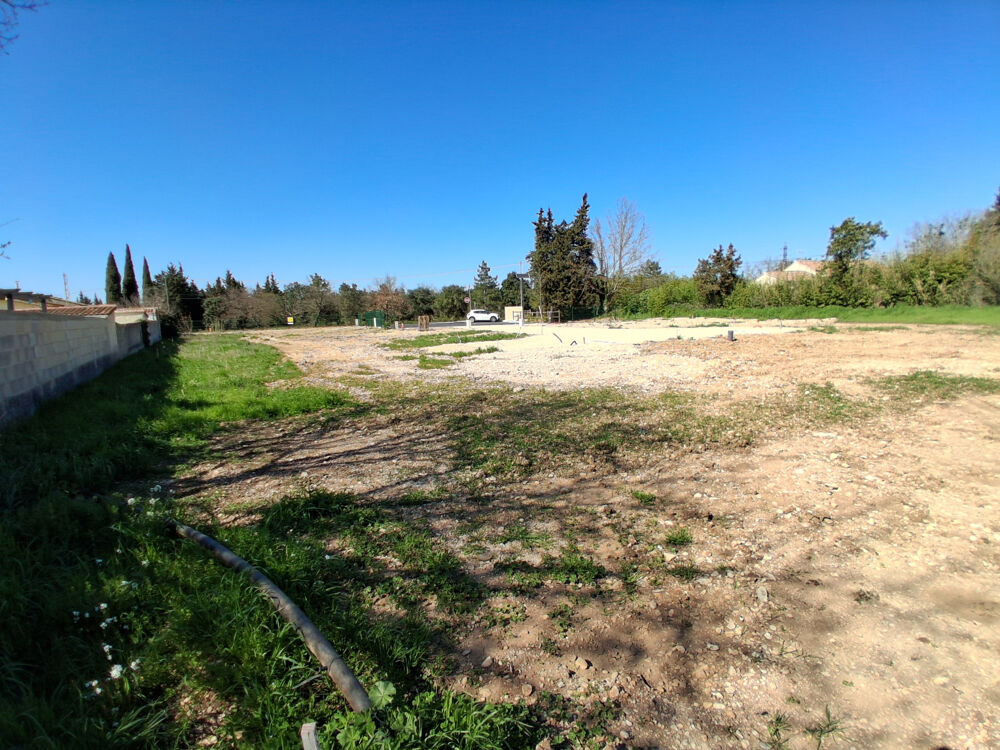 Vente Terrain Dept 84 - Monteux - Terrains dans petit lotissement 139 000 € Monteux