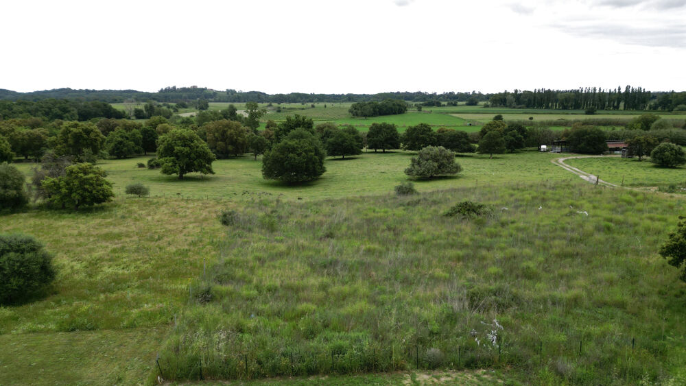 Vente Terrain Aléria - Terrain de 3 000 m2 + permis d'une maison accordé et purgé Aleria
