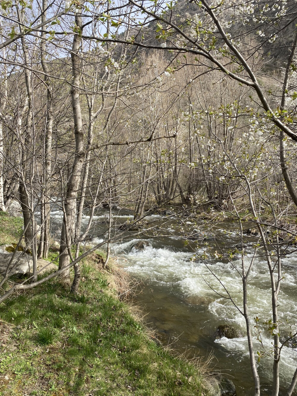 � vendre  Maison Porta (66760)