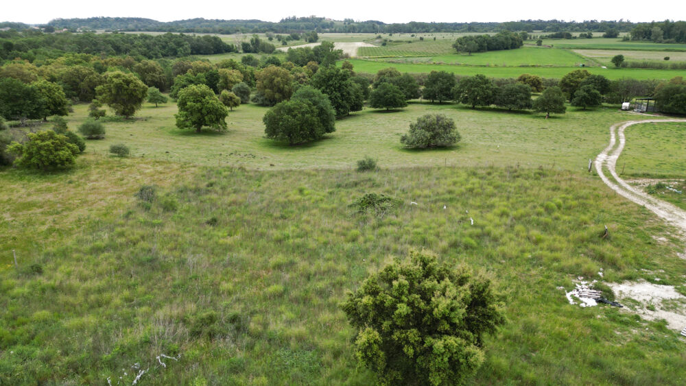 Vente Terrain Aléria - Terrain de 3 000 m2 + permis d'une maison accordé et purgé Aleria