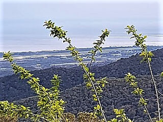  Terrain � vendre 215 m�