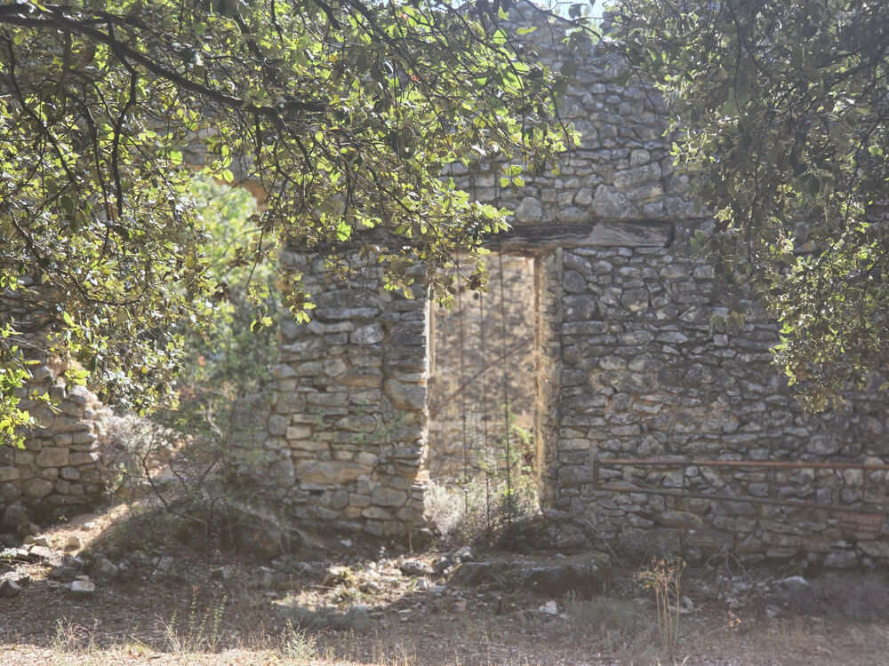 Vente Terrain Terrain forestier avec ruine St saturnin les apt