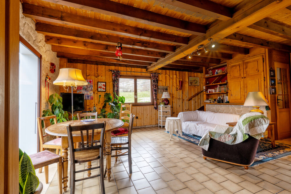 Dept ISERE (38) - A VENDRE - Maison - Laffrey - La Mure - vue montagne - 2 chambres - 1 studio - calme