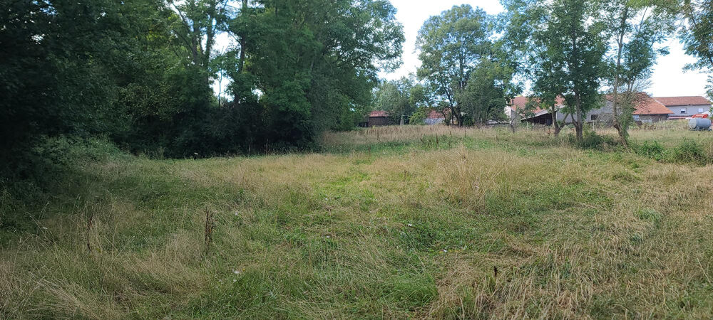 Vente Maison Dpt Haute Garonne31- A vendre Villeneuve Lecussan 31580- Maison T3 type ferme Commingeaoise sur 3430 m2 de par Villeneuve lecussan