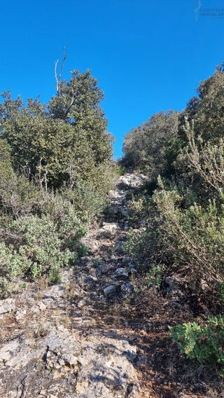  Terrain à vendre 4818 m²