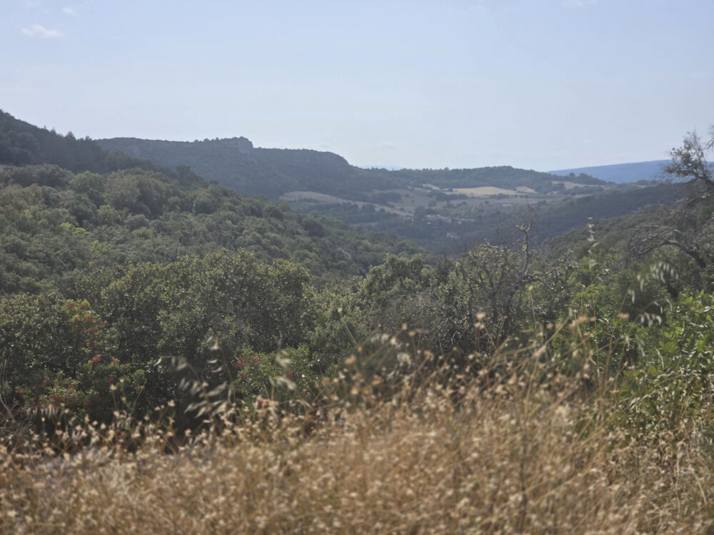Vente Terrain Terrain forestier vallonné St saturnin les apt