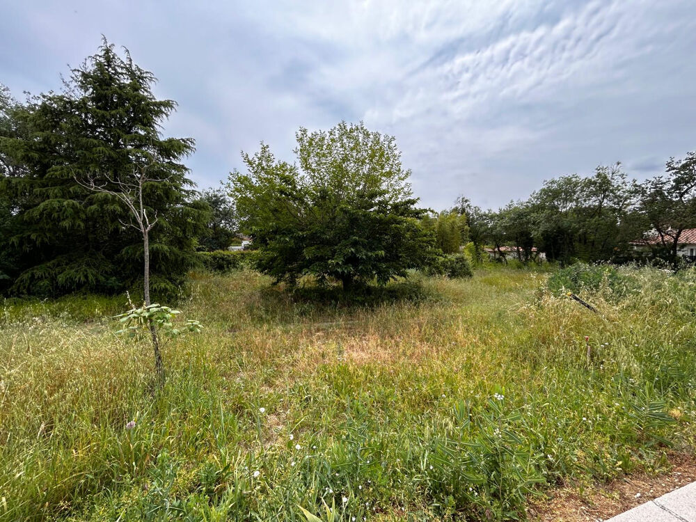 Vente Terrain Dépt Hérault (34) - Prades le Lez - À vendre - Terrain à bâtir de 659m2- Libre de tout constructeur Prades le lez