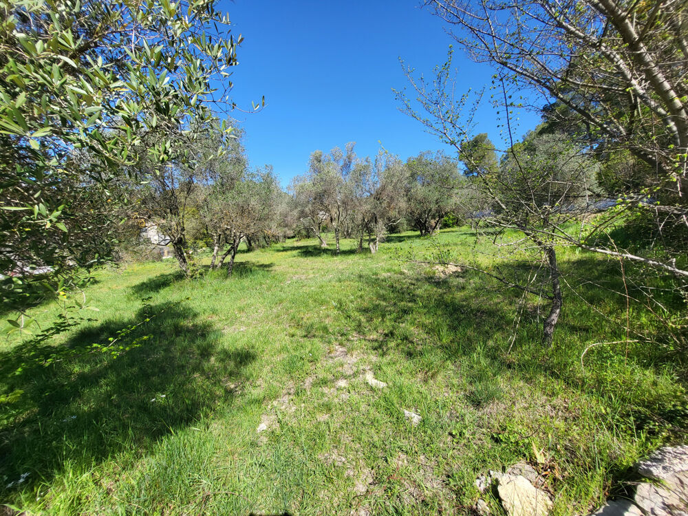 Vente Terrain Dépt Hérault (34) - Montferrier sur Lez - À vendre - Terrain à bâtir viabilisé de 1100m2 Montferrier sur lez