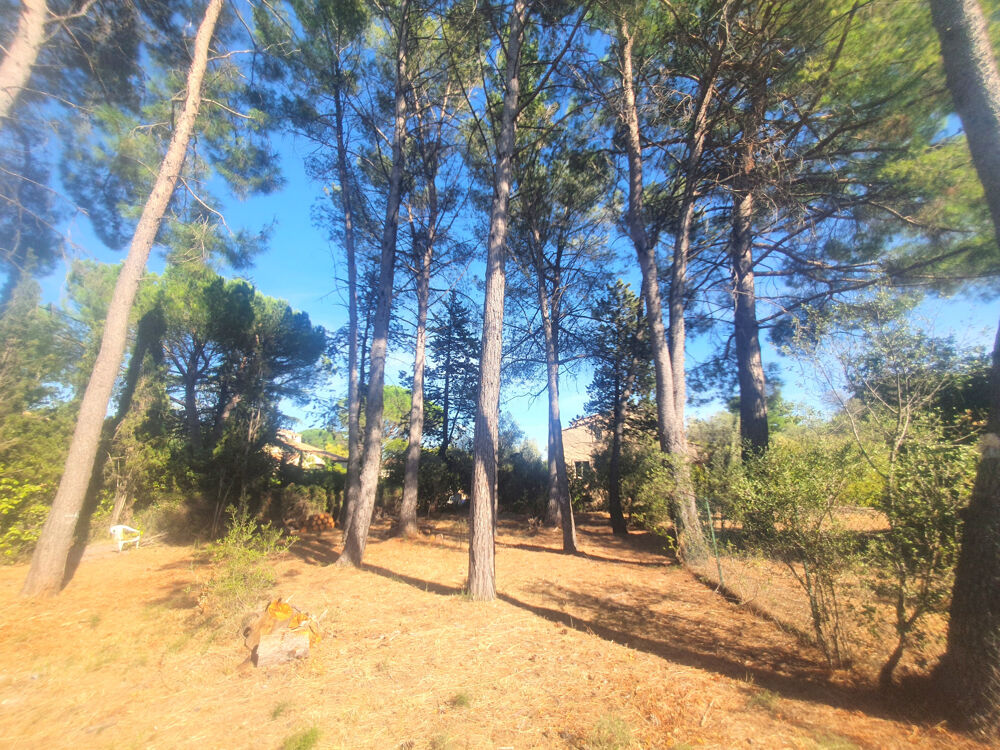 Maison 8 pièces 250 m² · à Castelnau le lez · 250 m² · 1 449 000 €