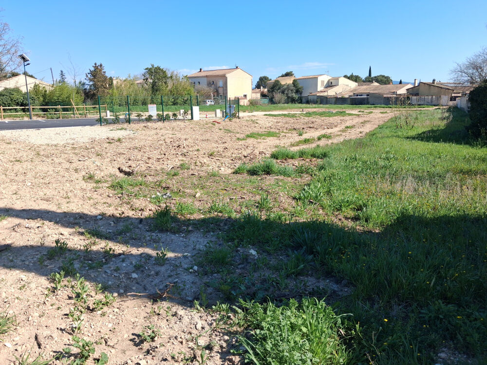 Vente Terrain Dept 84 - Monteux - Terrains dans petit lotissement 139 000 € Monteux