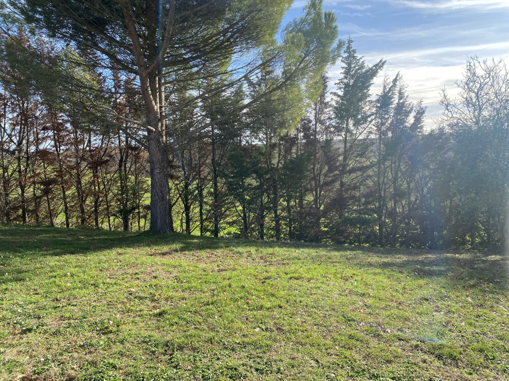 Vente Propriété/Château Magnifique propriété à CARAMAN Caraman