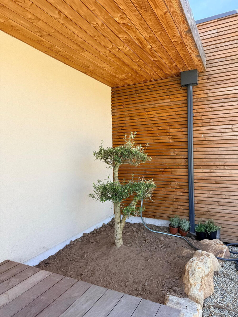 à vendre  Maison Ghisonaccia (20240)