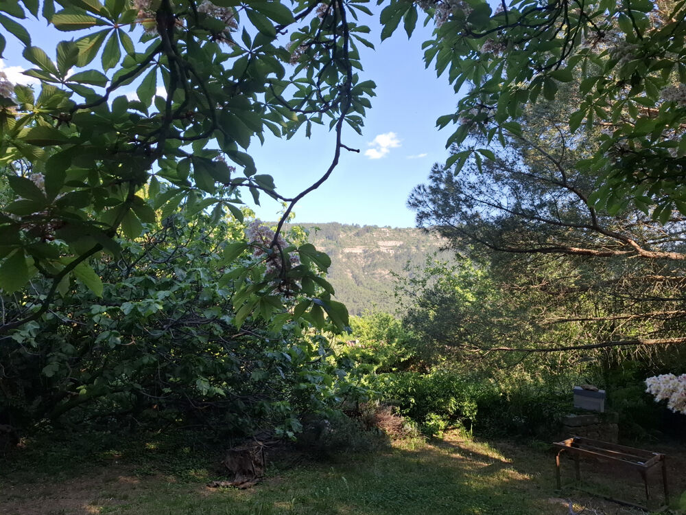 Grande maison familiale à Vesseaux