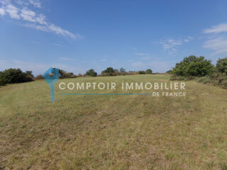  Proprit/chteau  vendre 1 pice 160 m