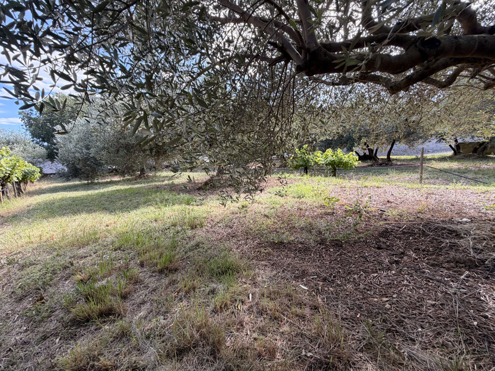 Vente Terrain En exclusivité, Terrain constructible de 616 m2 viabilisé, Vergeze