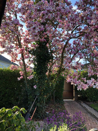  Maison � vendre 6 pi�ces 140 m�