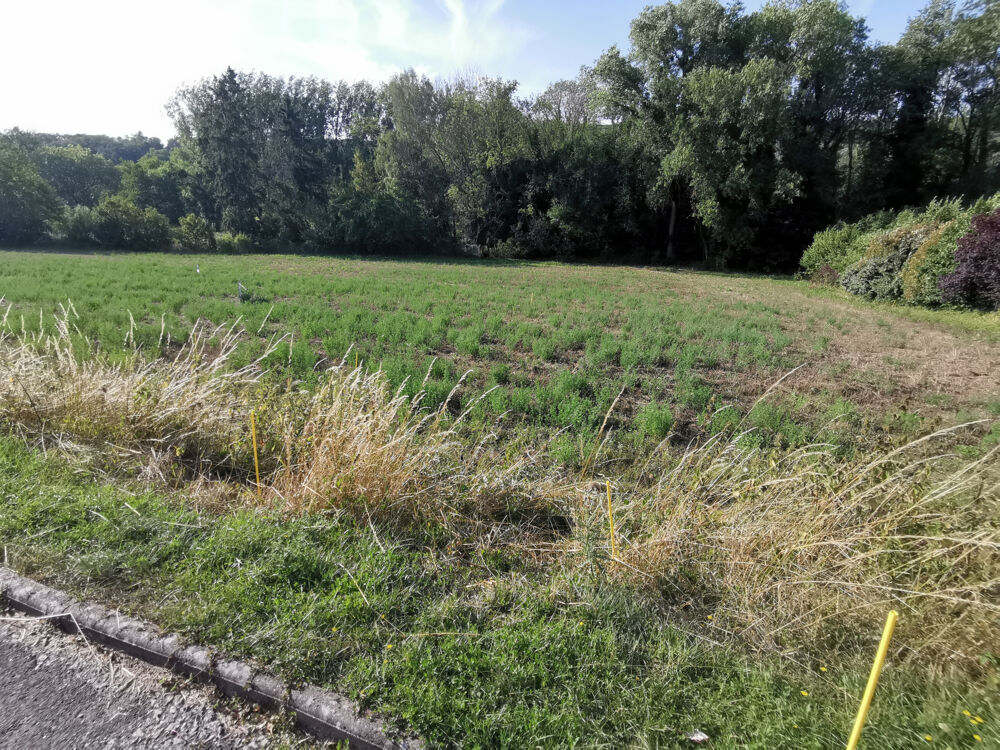 Vente Terrain Dept Essonne (91), à vendre à SERMAISE (91530), Terrain constructible de 515 m2 env., libre de constructeur Sermaise