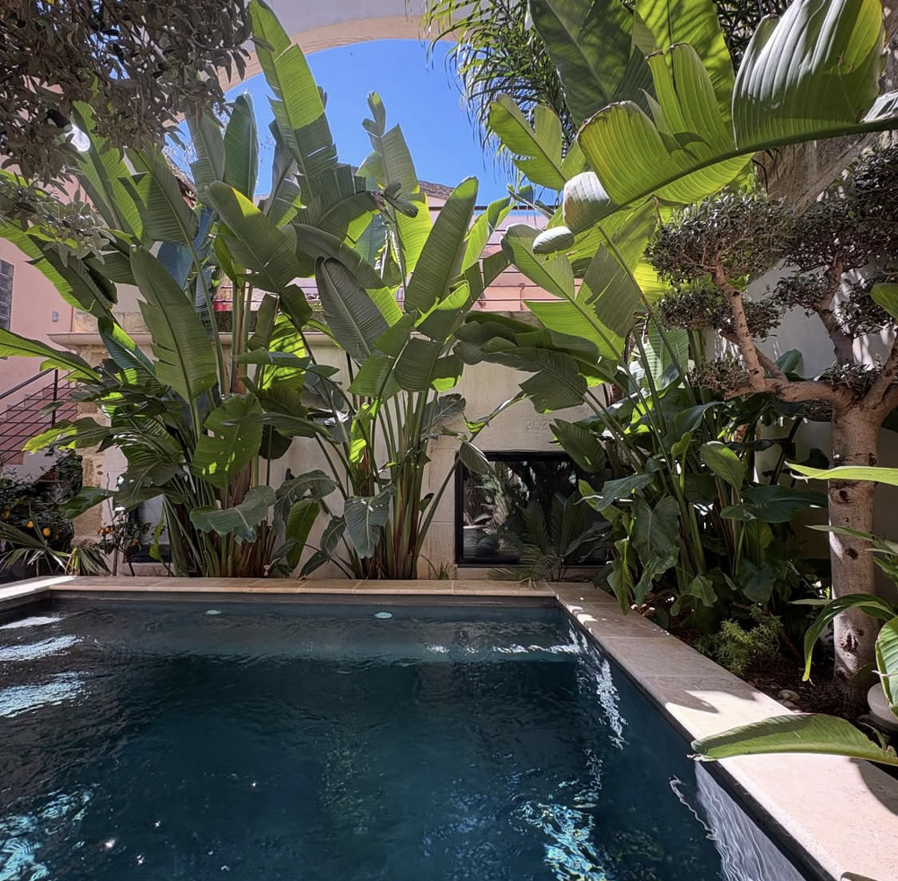 à vendre  Maison Vauvert (30600)
